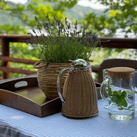 Pod Zamkiem * Roznow